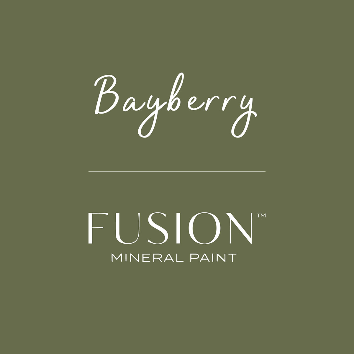 Fusion Mineral Paint BAYBERRY