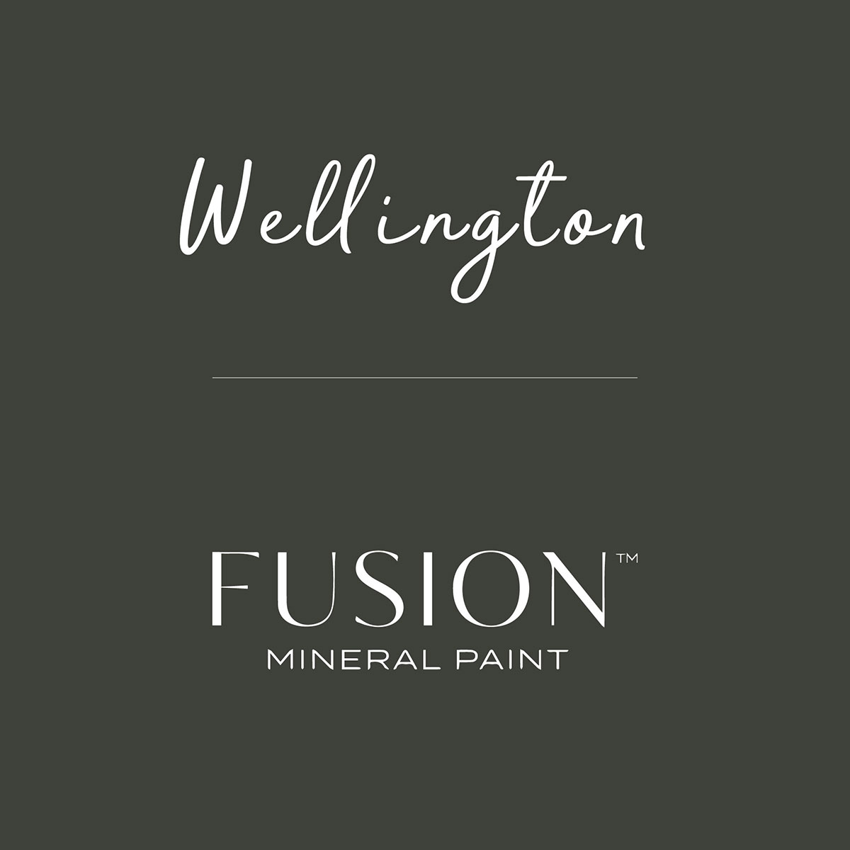 Fusion Mineral Paint WELLINGTON